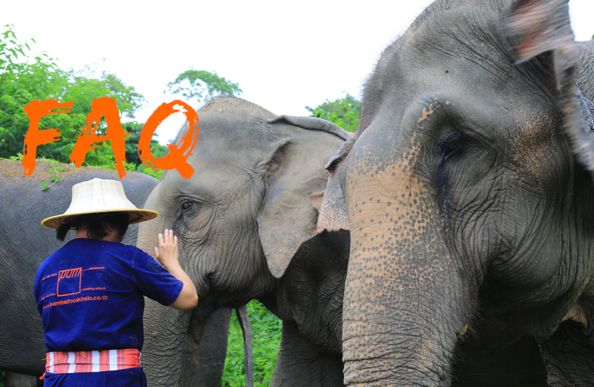 FAQ - Tout ce que vous avez toujours voulu savoir sur la Thaïlande sans jamais oser le demander